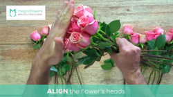 1TUTORIAL MAGNAFLOWERS