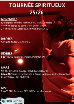 Copie de Affiche Spiritueux Avignon.jpg