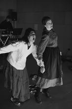 conte-plume-de-finist-clair-faucon-theatre-photo-kika-sacre(2).JPG