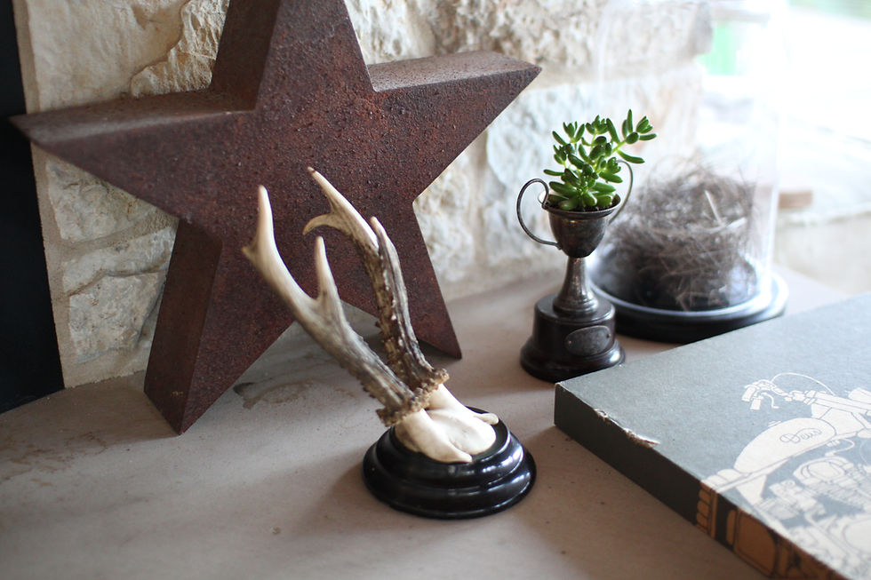 Thumbnail: vintage german roe antlers