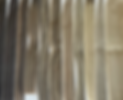 IMG_6441_edited.png