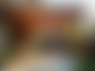 Expert Pergola Installation Services in Melbourne