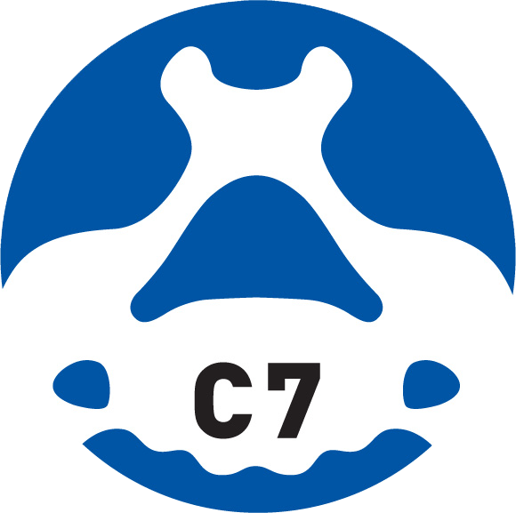 C7 Ventures Logo.png
