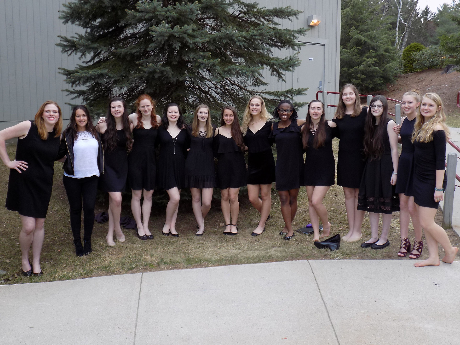Female Vocalists