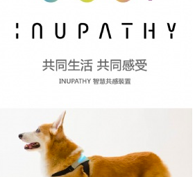 Communicating With Your Dog?