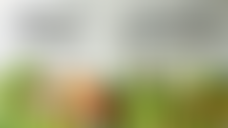 Wiosna... Lekko... :) 21.03.26