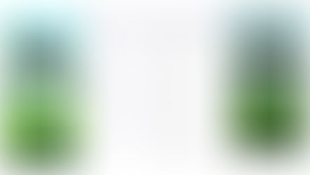 本物のサッカーボールを使用したフットゴルフゲームアプリ「FOOTGOLF PUTT CHALLENGE」誕生！