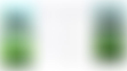 本物のサッカーボールを使用したフットゴルフゲームアプリ「FOOTGOLF PUTT CHALLENGE」誕生！