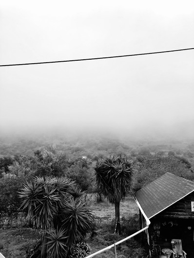 mist - 8 van 14.jpeg