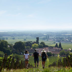 Salesrun Bourgogne 19-21 nov 2024