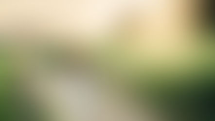 LOISIUM CHAMPAGNE, een exclusief designadres midden tussen de wijngaarden