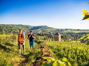 Les Montagnes du Jura, een ontdekkingsreis