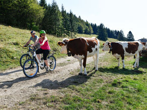 France Excellence: Bourgogne-Franche-Comté