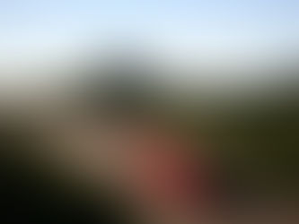Thalys: Snel en groen naar Frankrijk