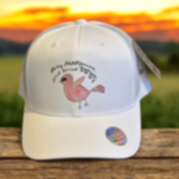 Bring MARYment and JOY baseball hat