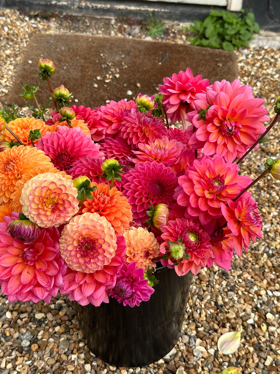 Thumbnail: Florist Bucket (Collection Only)
