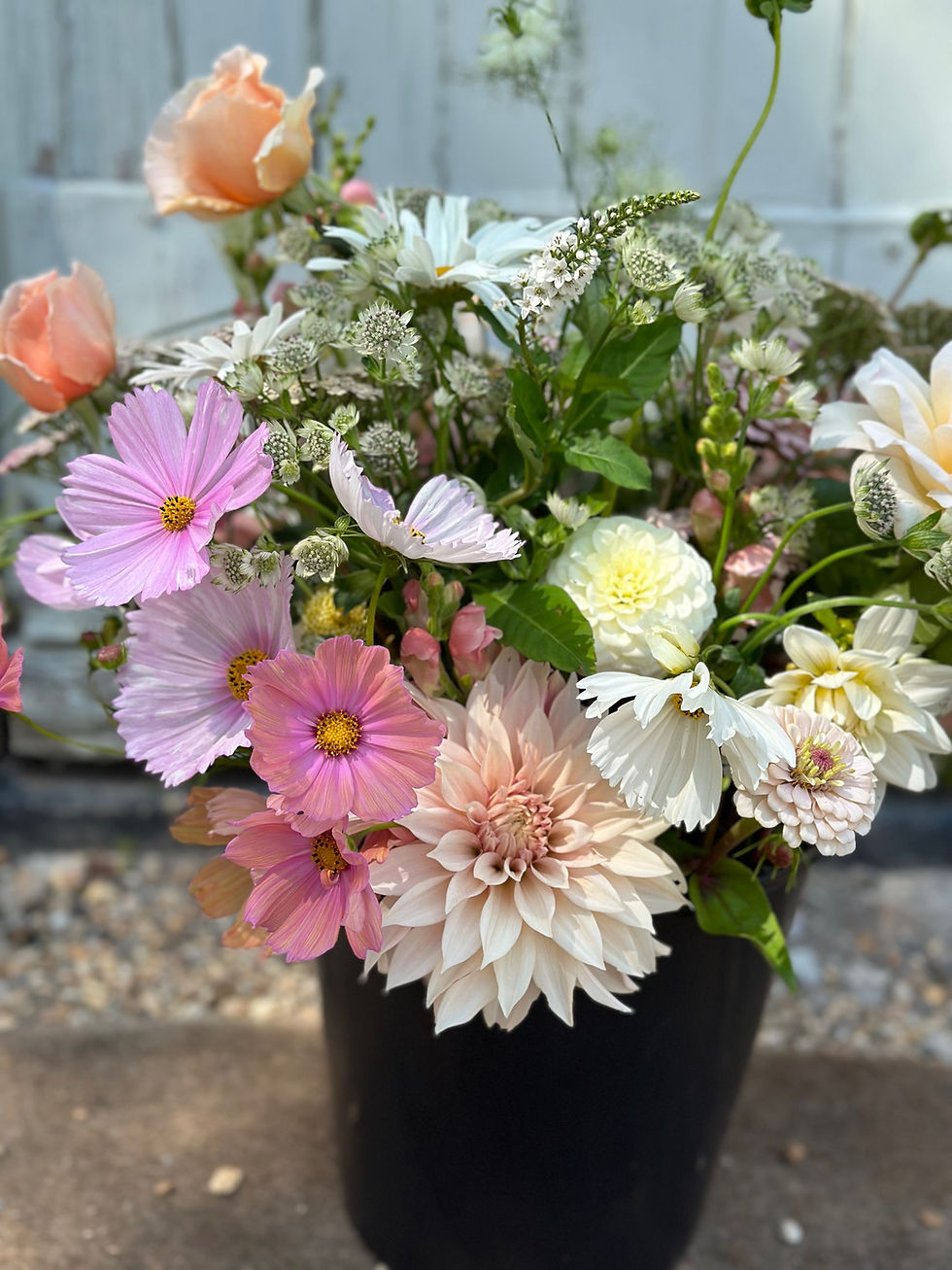 Thumbnail: Florist Bucket (Collection Only)