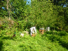 P1030016 - Copy (1).JPG