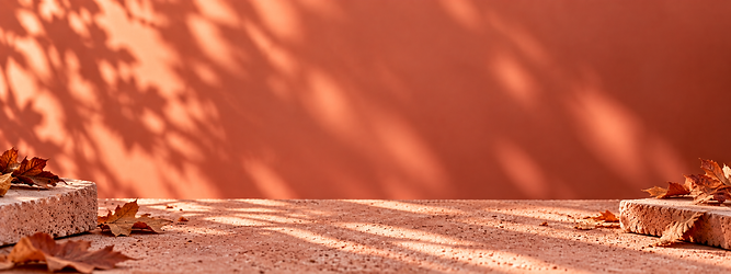 555C4D2B-C022-4447-AB6A-67EBEA883205.PNG