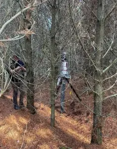 Terrestrial Laser Scanners in the forest