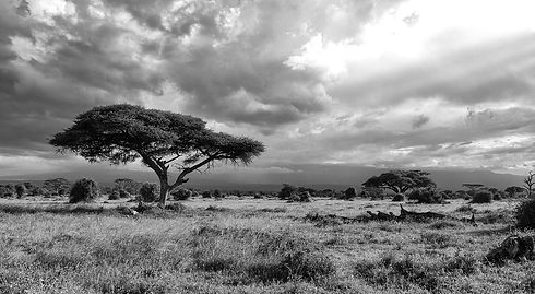 Kenya landscape 1.jpg