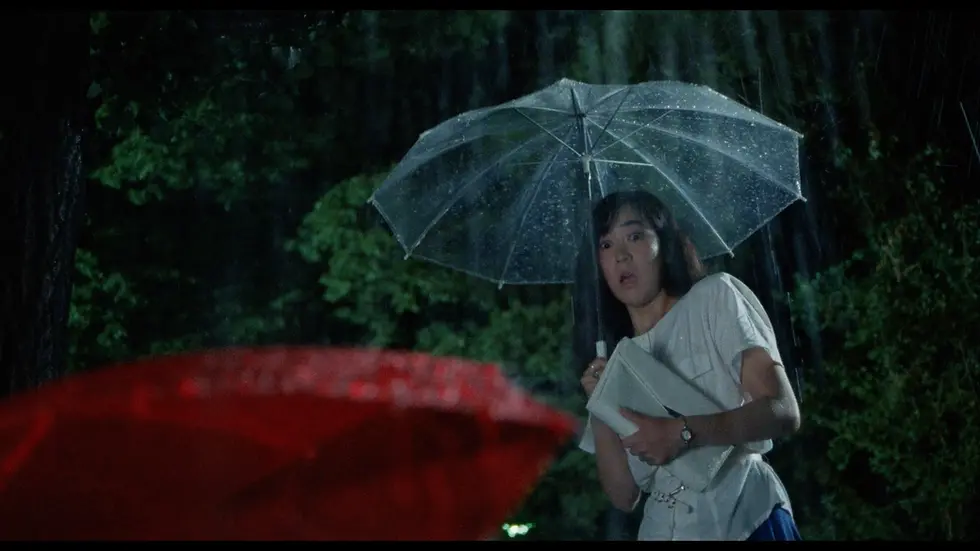 Thumbnail: Screen grab 5 of The Films of Hisayasu Satô: Volume #1 [Blu-ray Set] | peakbooks.shop