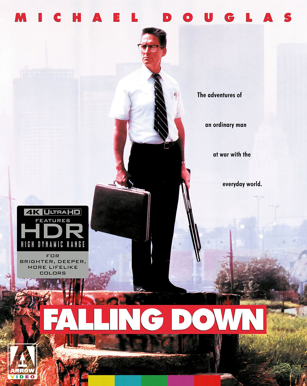 Front cover of Falling Down Limited Edition [4K Ultra HD] | peakbooks.shop