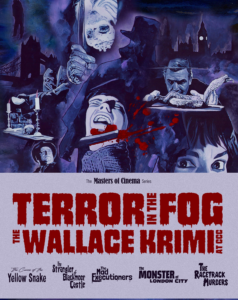 Front cover of Terror In The Fog: The Wallace Krimi At CCC [Blu-ray] | peakbooks.shop