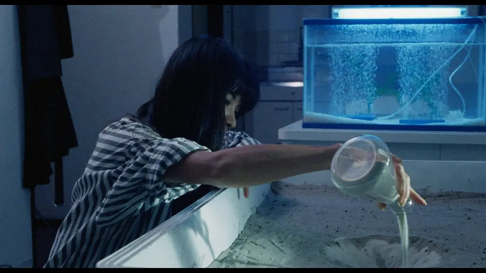 Thumbnail: Screen grab 6 of The Films of Hisayasu Satô: Volume #1 [Blu-ray Set] | peakbooks.shop