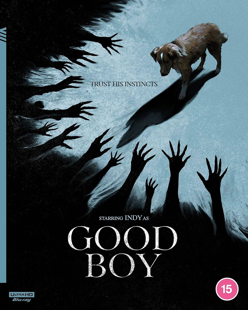 Front cover of Good Boy (2025) (UK Import) [4K Ultra HD] | peakbooks.shop