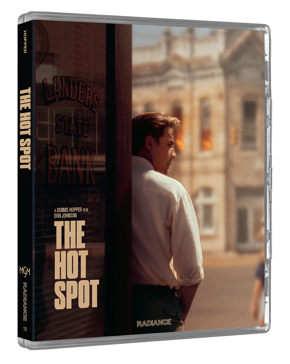 Full cover of The Hot Spot (Limited Edition) [4K Ultra HD + Blu-ray] | peakbooks.shop
