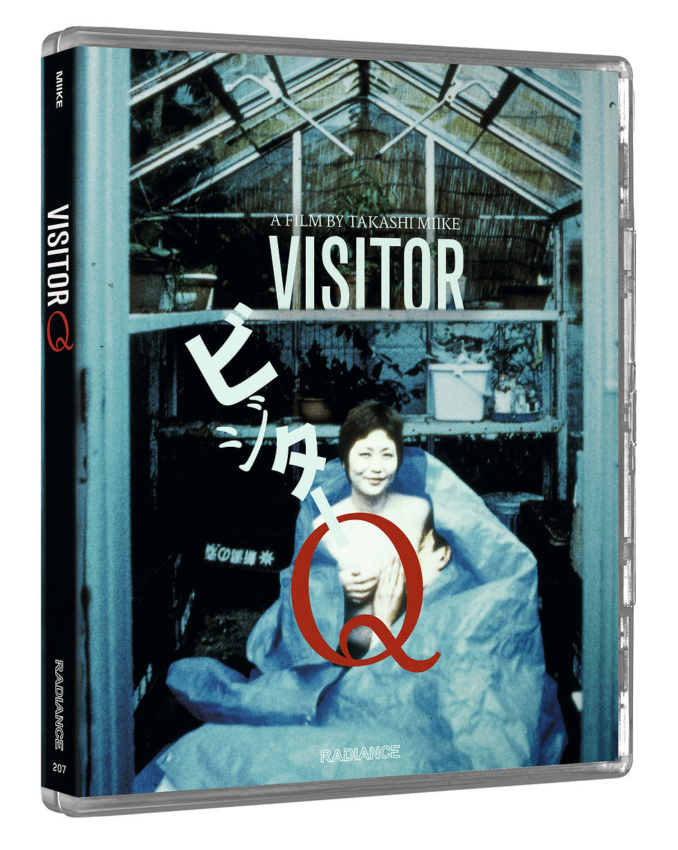 Thumbnail: Full cover of Visitor Q (Limited Edition) [Blu-ray] | peakbooks.shop