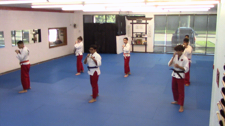 002 (2).gif