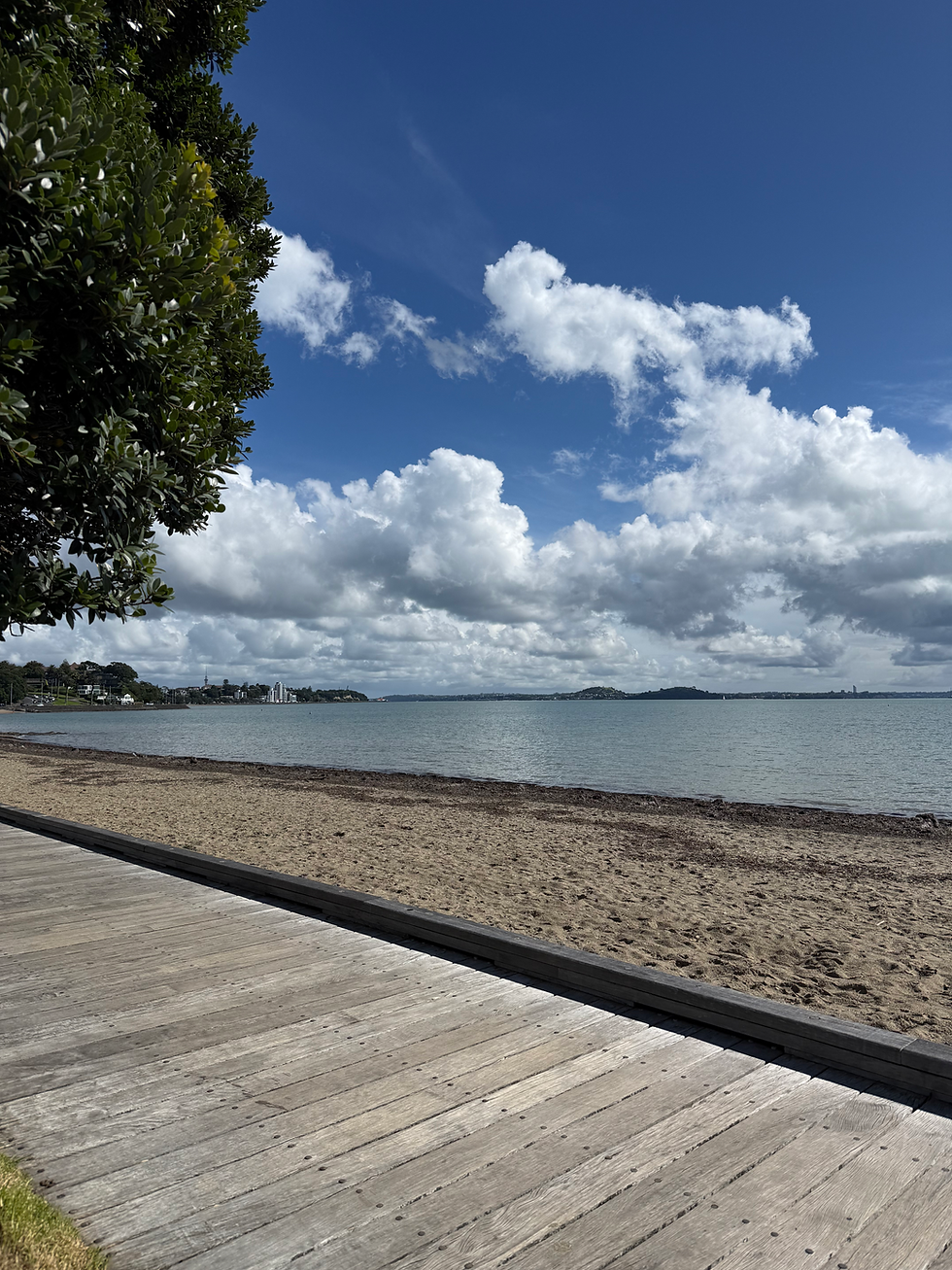 20/4/2026 Last Monday in New Zealand