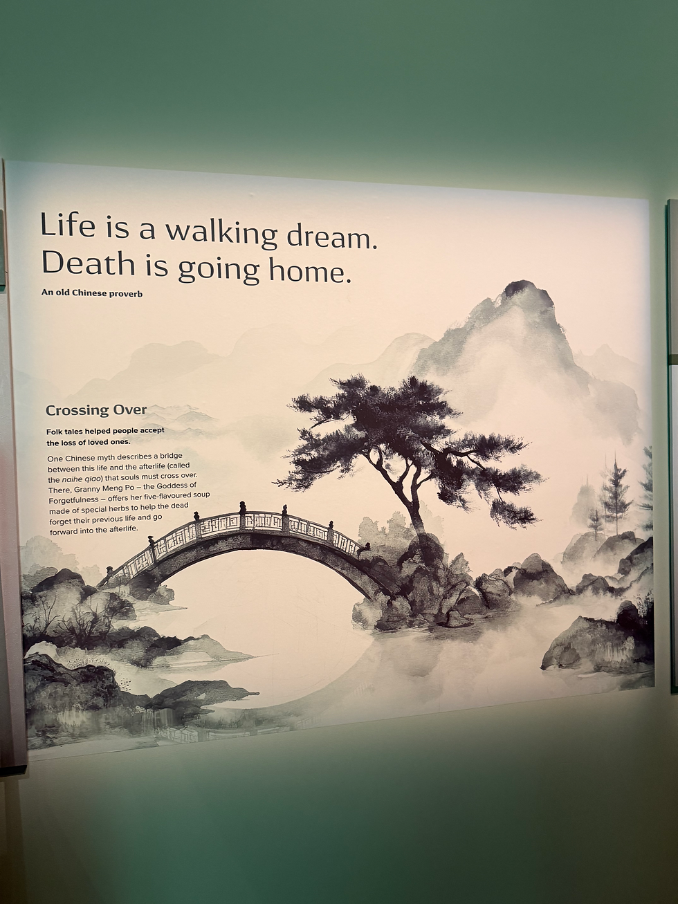 10/12/2025 Morning Tea and Terracotta Warriors