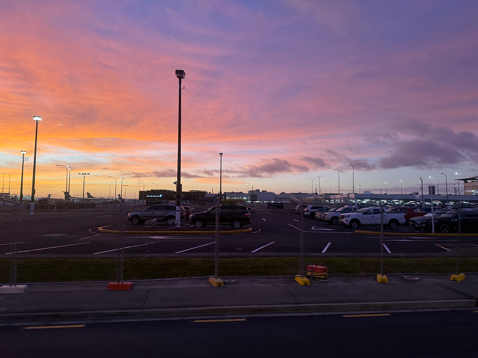 Domestic Terminal Auckland