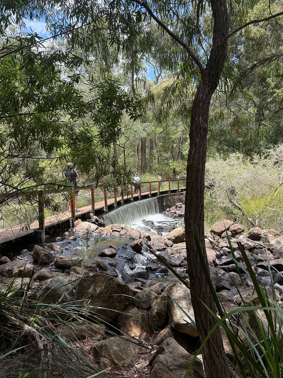 Nguraren Kalleep Reserve