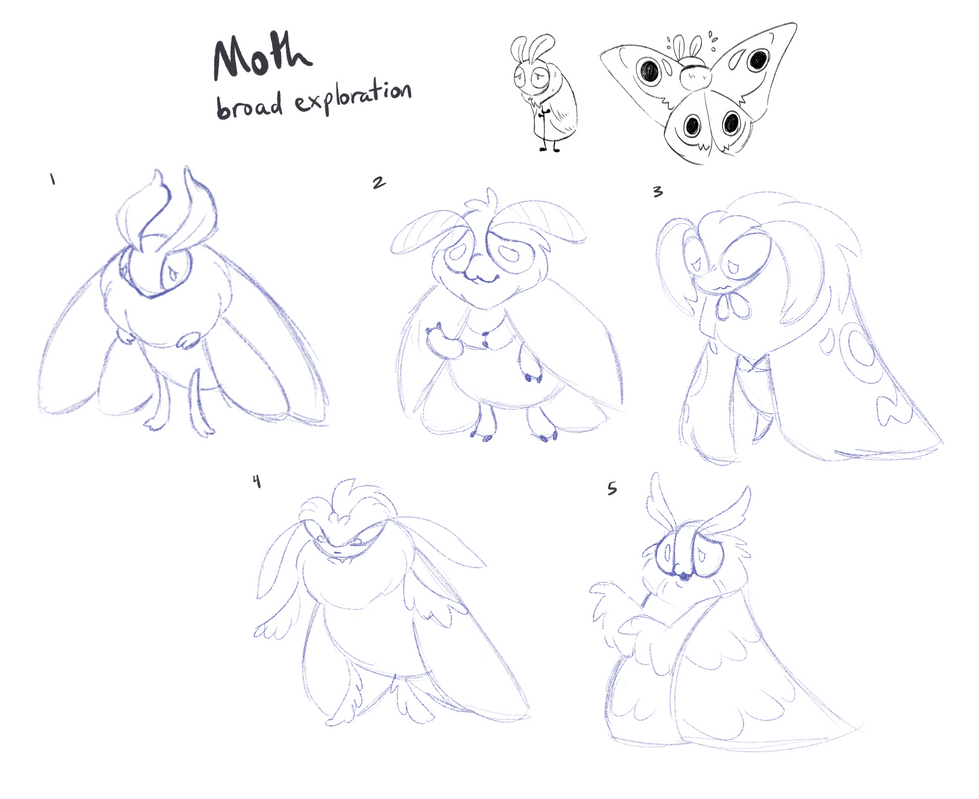 Moth_Broad