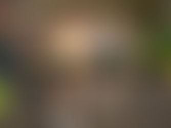 Flat 'N Fast 6 ready to bring fastest fields to date