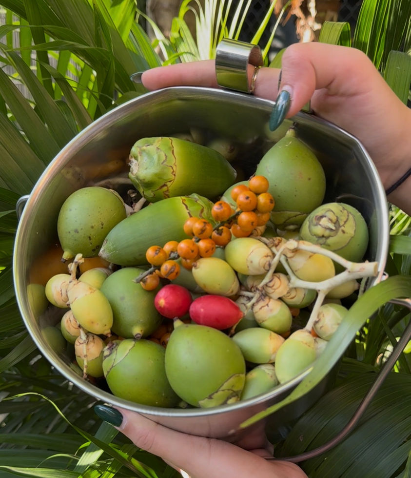 Tropical Enrichment Sample Bucket