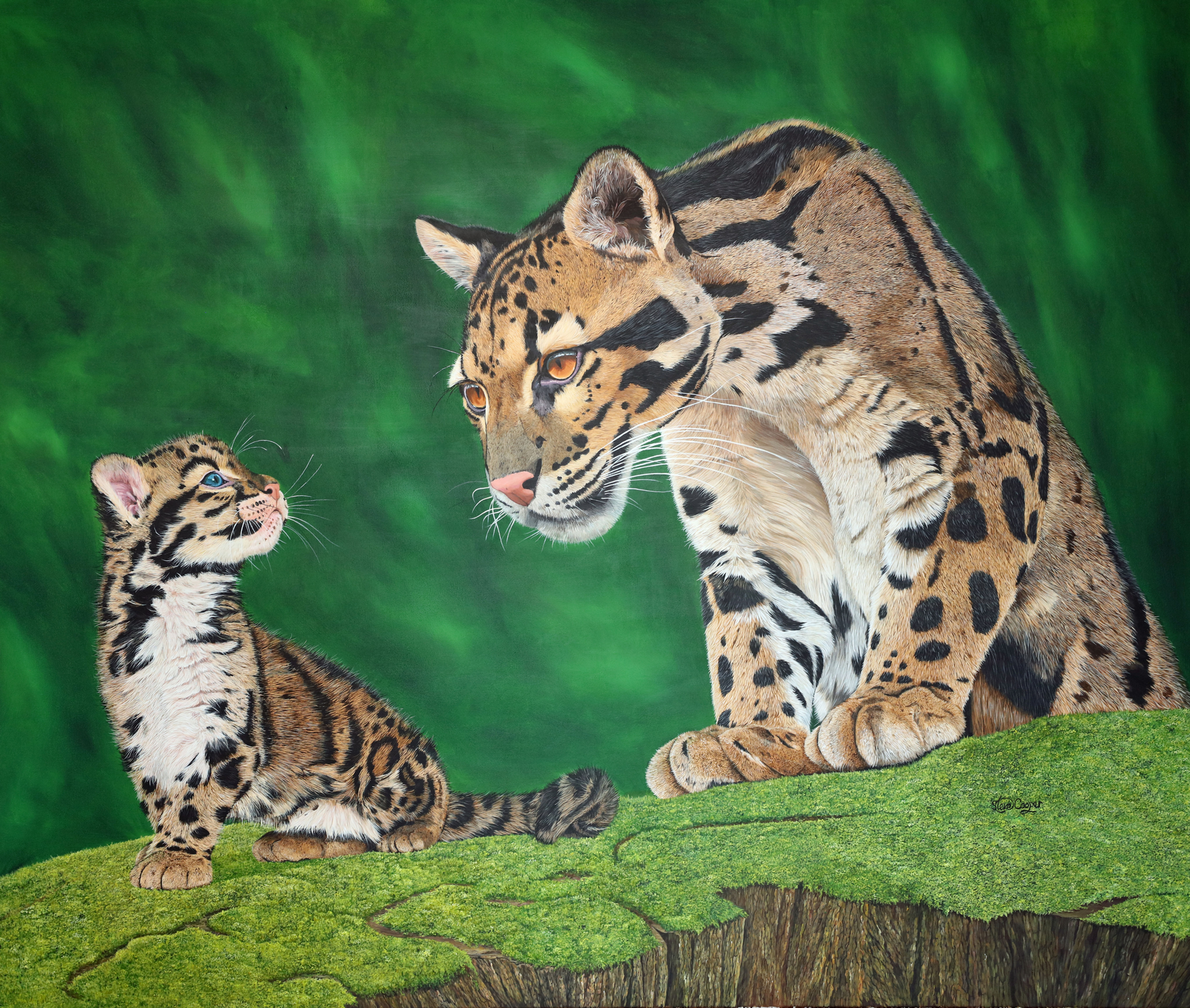 Clouded Leopard and Cub
