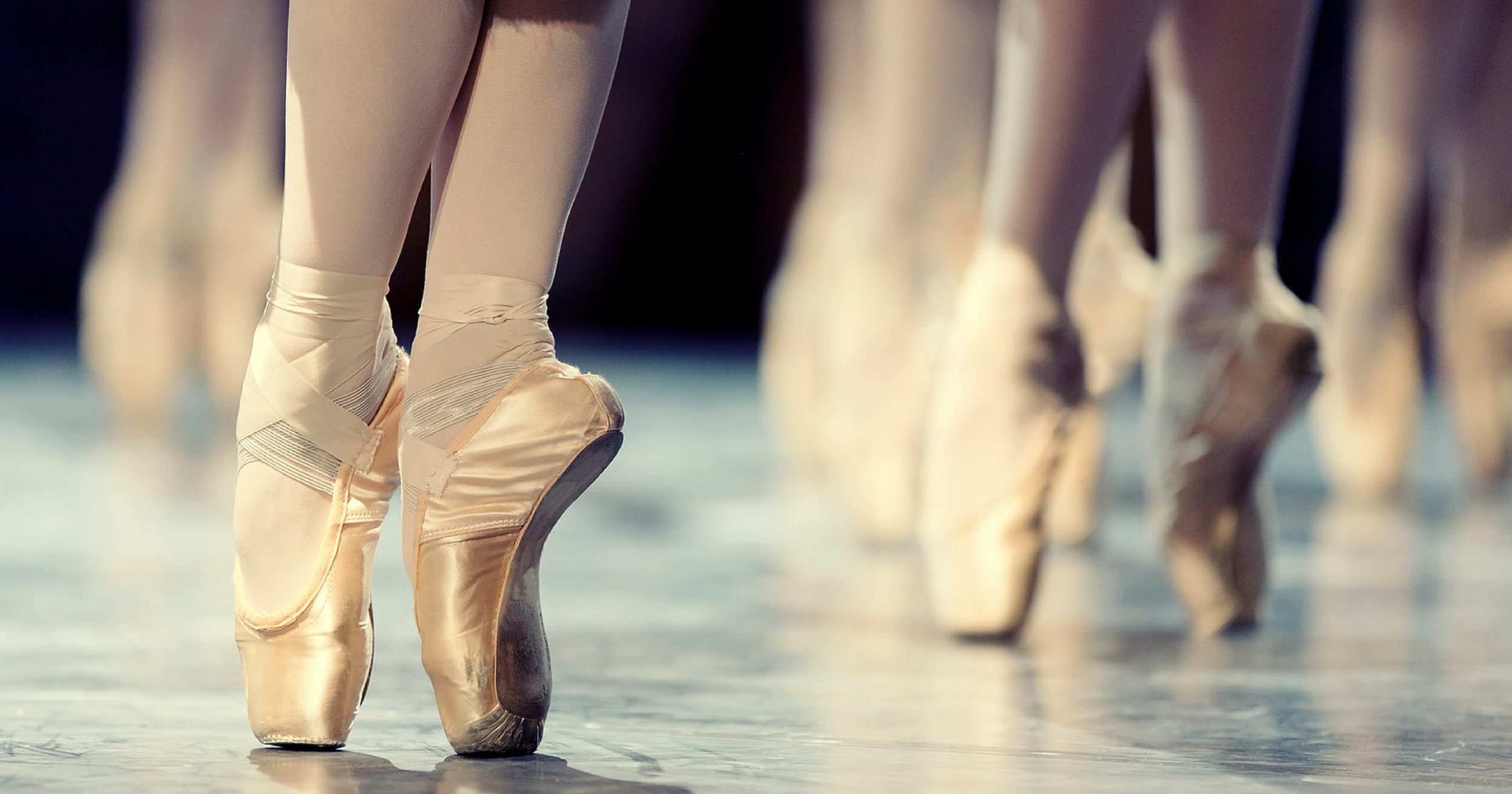 Academy of Dance Arts — dance studio in Columbia, SC
