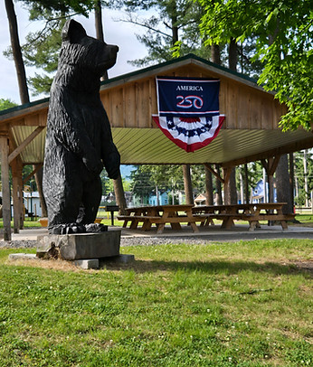Park bear 250.jpg