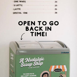 Ice-cream Fridge