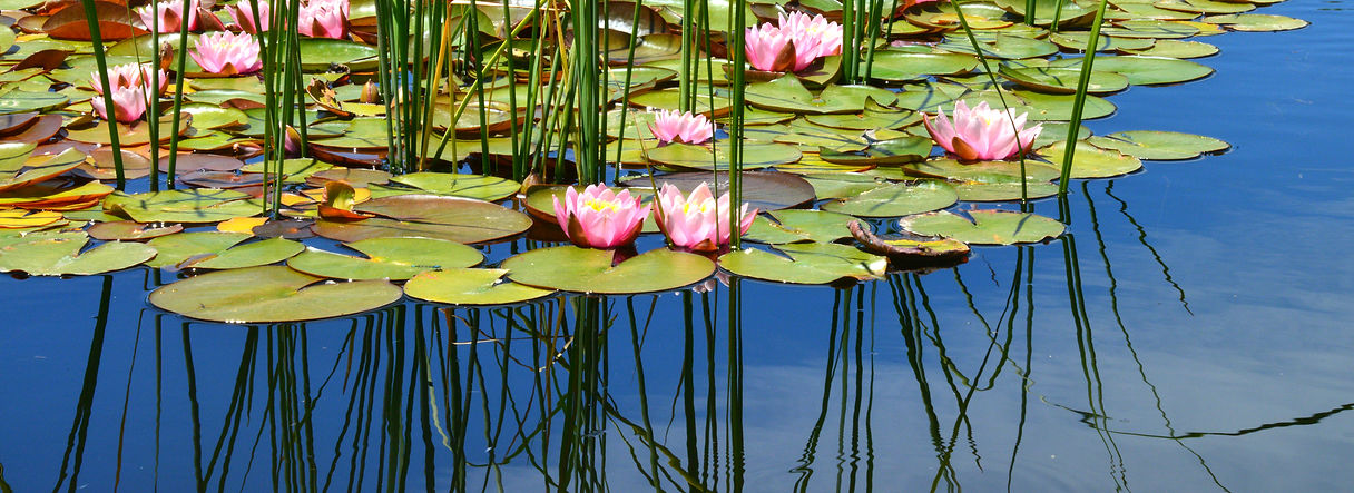 slider 13_edited.jpg