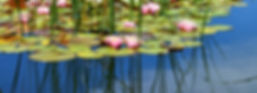 slider 13_edited.jpg