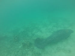 G0568592