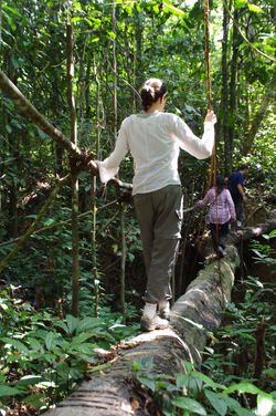 Kutai Park - Kalimantan