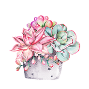 Untitled design (1).png
