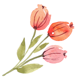 Untitled%20design%20(2)_edited.png